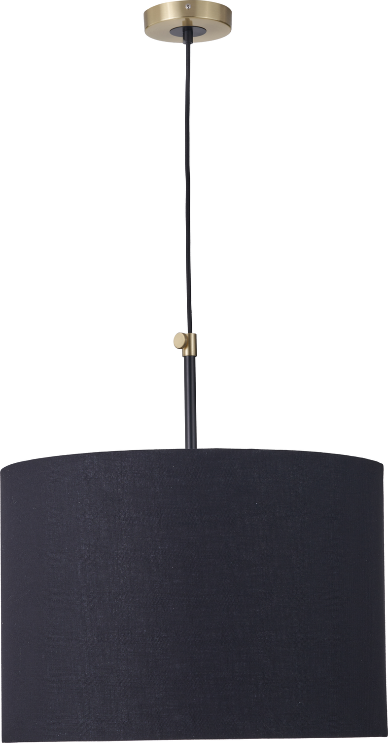 Bryce Black and Gold Metal Ceiling Pendant