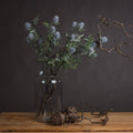 Eryngium Blue Thistle