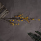 Vibrant yellow Forsythia branch