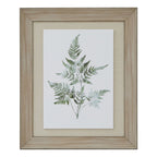 Watercolour Bracken Fern In Washed Wood Frame