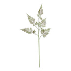 The Natural Garden Collection Large Bracken Fern Spray