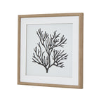 Reef Coral Art Mounted In Beaded Frame