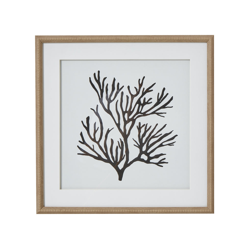 Reef Coral Art Mounted In Beaded Frame