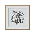 Reef Coral Art Mounted In Beaded Frame