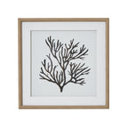 Reef Coral Art Mounted In Beaded Frame
