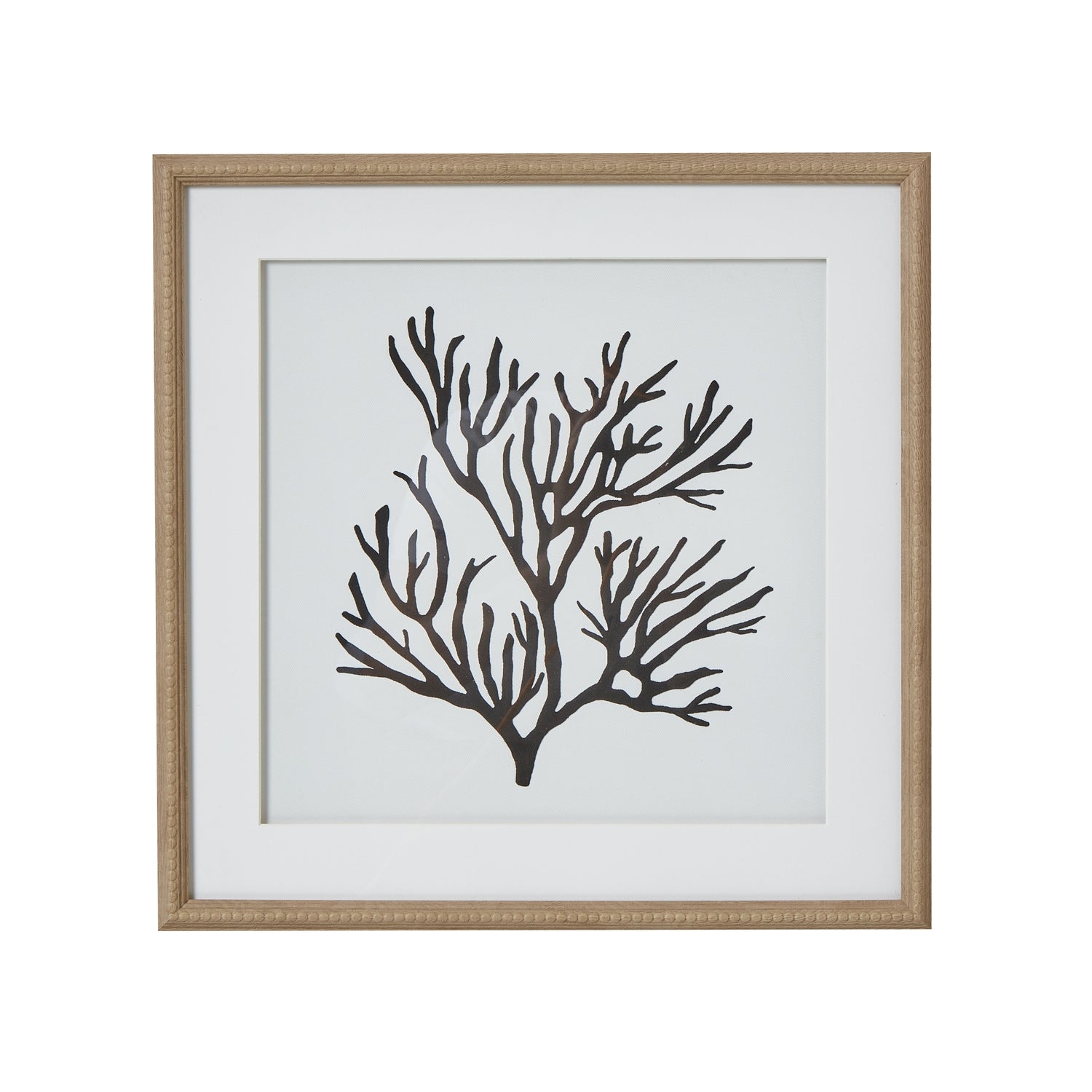 Reef Coral Art Mounted In Beaded Frame