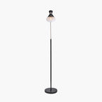 Benedict Black and Brushed Silver Metal Floor Lamp