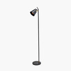 Theia Black and Brushed Brass Task Floor Lamp
