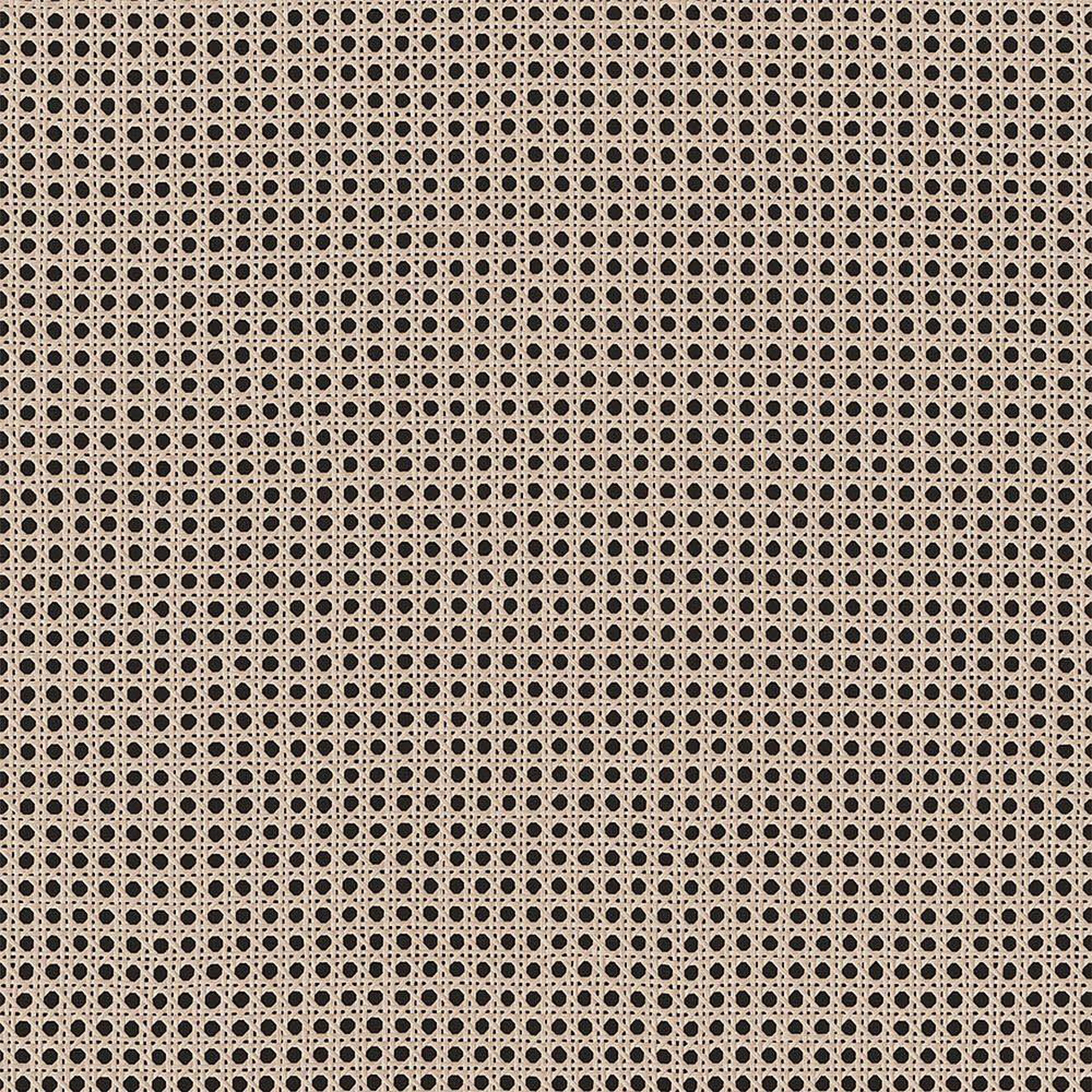 Cestino 2 Door 2 Drawer Display Cabinet in Jackson Hickory Oak and Rattan Effect