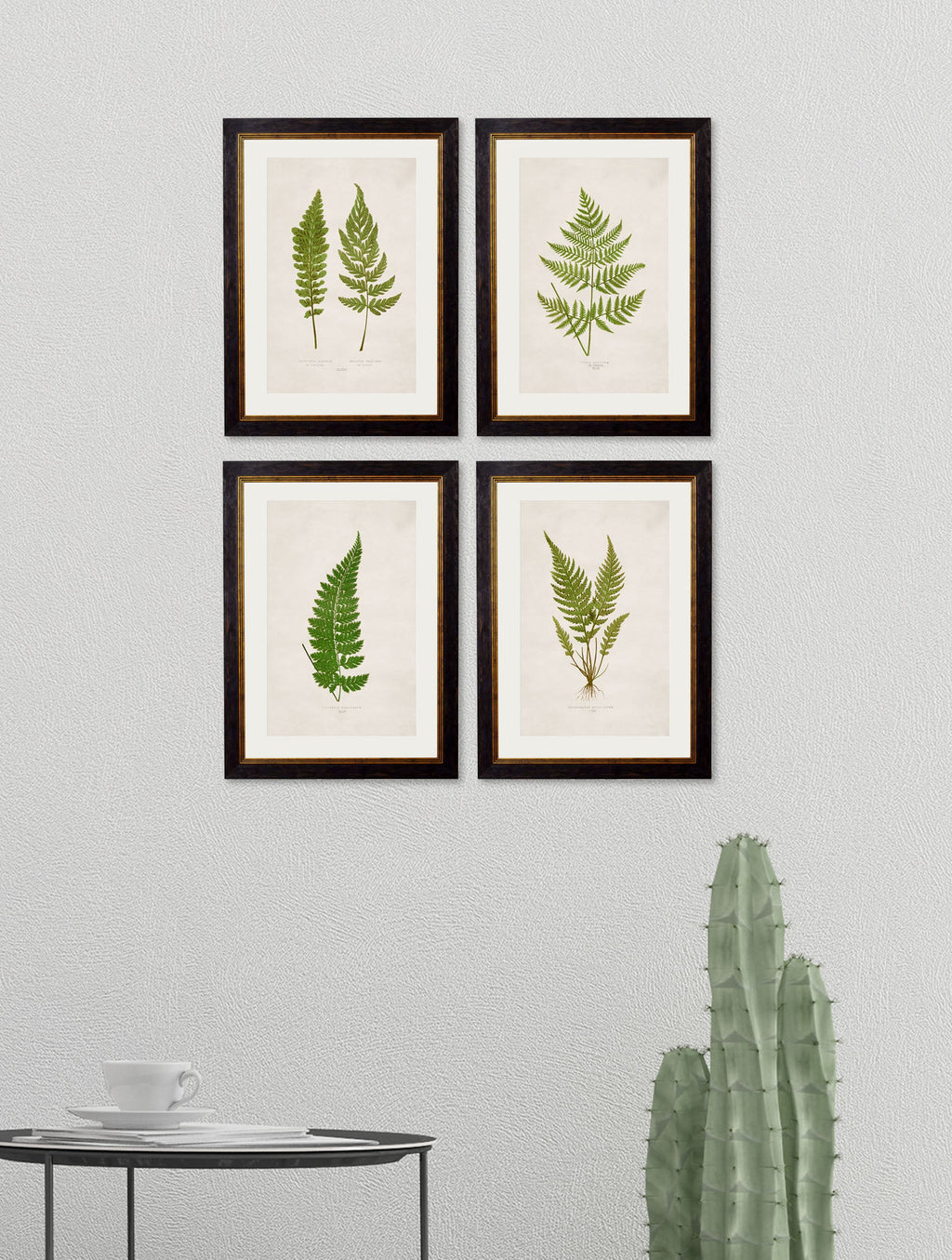 c.1864 Collection of British Ferns