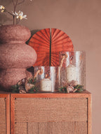 Teora Paper Rope Detail Two Door Mango Wood Cabinet