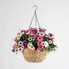 56Cm Mixed Daisy Hanging Basket