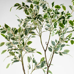 150Cm Real Touch Ficus Tree Kd