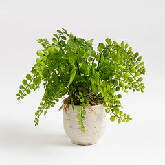 28Cm Fern In Speckled Ceramic Pot