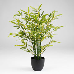 58Cm Bamboo Tree