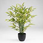 58Cm Bamboo Tree