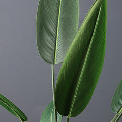 110Cm Real Touch Bird Of Paradise