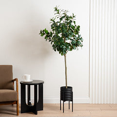 Black Ribbed Planter