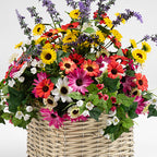 52Cm Mixed Floral Container