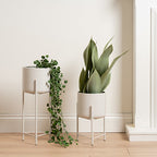 Set Of 2 Light Beige Planters