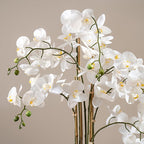 110Cm Real Touch Phalaenopsis Orchid In Pot