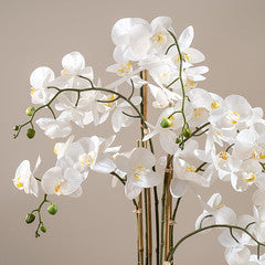 110Cm Real Touch Phalaenopsis Orchid In Pot