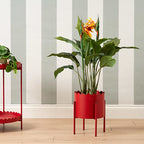 Red Scallop Planter