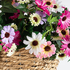 56Cm Mixed Daisy Hanging Basket