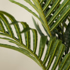 125Cm Real Touch Pearl Palm Tree