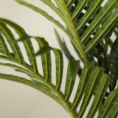 125Cm Real Touch Pearl Palm Tree