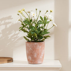 35Cm Classic Daisy In Terracotta Pot