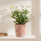 35Cm Classic Daisy In Terracotta Pot