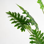 175Cm Real Touch Philodendron Tree