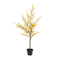 132Cm Forsythia Tree