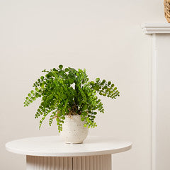 28Cm Fern In Speckled Ceramic Pot