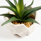 16Cm Spiky Succulent In Wavy Cement Pot