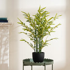 58Cm Bamboo Tree