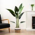 130Cm Bird Of Paradise Tree