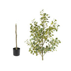 185cm Eucalyptus Tree