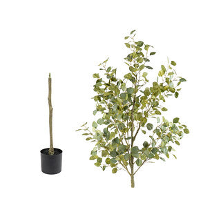 185cm Eucalyptus Tree