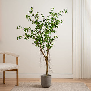 150Cm Real Touch Mini Ficus Tree