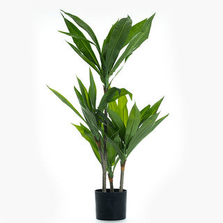 90cm Real Touch Draceana Tree