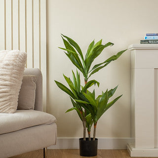 90cm Real Touch Draceana Tree