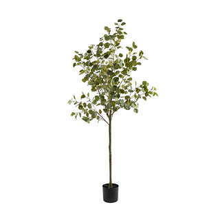 185cm Eucalyptus Tree