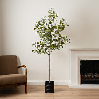 185cm Eucalyptus Tree