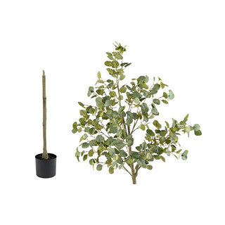 160cm Eucalyptus Tree
