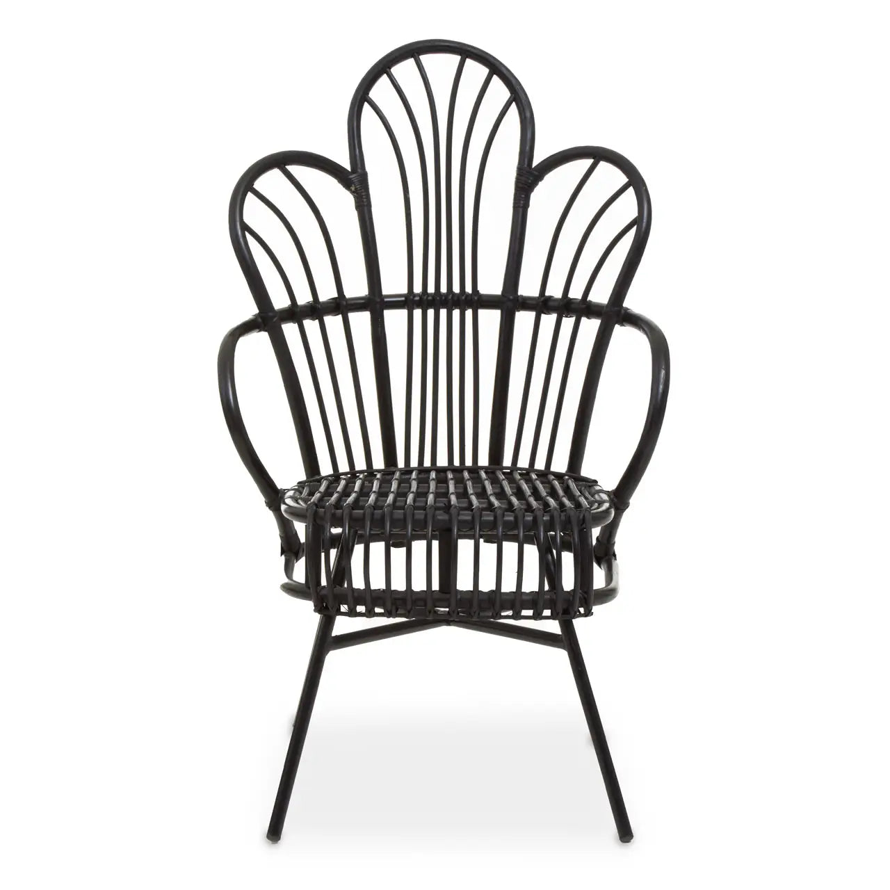 Java Black Natural Rattan And Black Metal Scalloped Back Chair