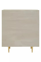 Sareel Two Door Cabinet