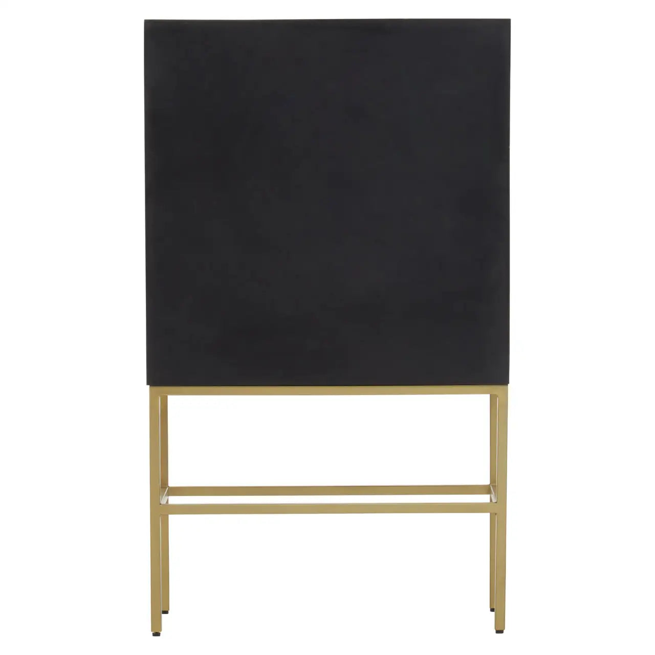 Suri Two Door Cabinet