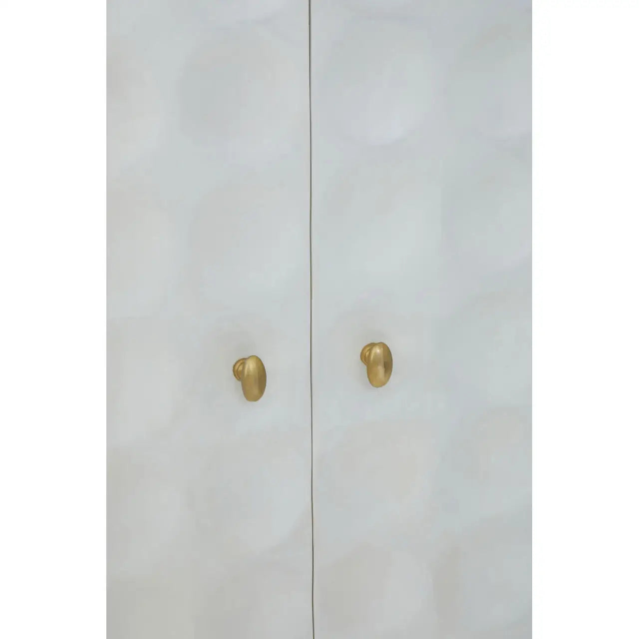 Satara Two Door Cabinet